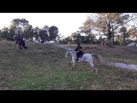 11/01/20 cross les montées au galop