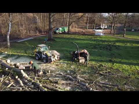Wie man eine Pappel fällt, Kurpark Bad Salzdetfurth