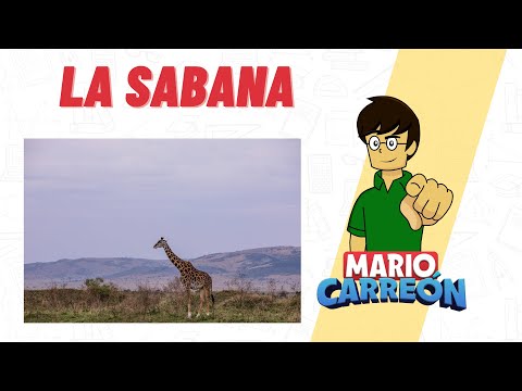 🦒 La Sabana 🦛