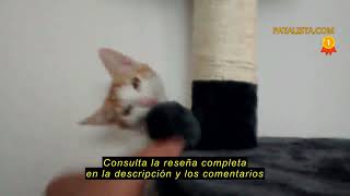 Reseña del lionto Árbol rascador para Gatos Altura 112 cm, Beige