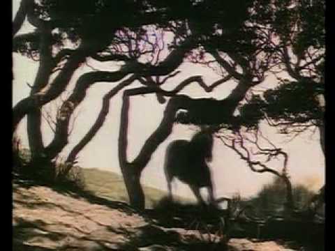 The new adventures of Black Beauty Opening