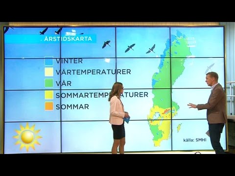 Fint väder – även sommar på sina håll – i landet - Nyhetsmorgon (TV4)
