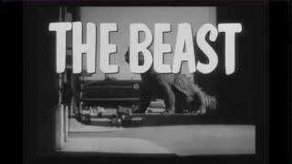 Revival - Deerhunter [Fan-made music video]