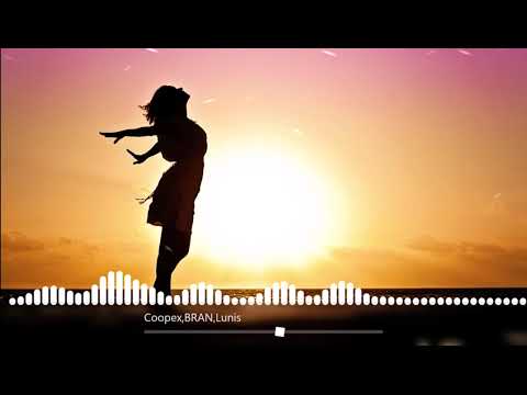 Coopex & BRAN - Faded (ft. Lunis) (Musical box)