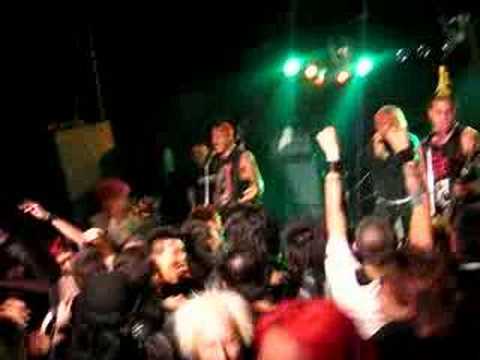 the Casualties 14