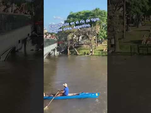 increíble se tiran desde el puente al río 🥵. 🌊😱 #videoshort #verano #calor #buenosaires
