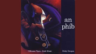 The Fox's Lament (Slow Air)