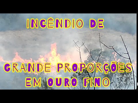 INCÊNDIO DE GRANDES PROPORÇÕES DEVASTA ÁREA VERDE E CAFEZAL EM OURO FINO