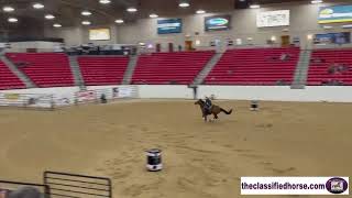 September 3rd, 2021/Winning Barrel Run/Las Vegas, NV/Amberley Snyder
