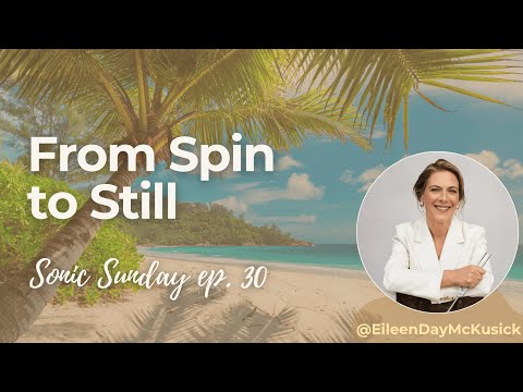 Sonic Sunday Ep.30 ~ From Spin to Still