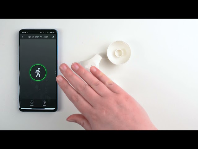 YouTube Video -