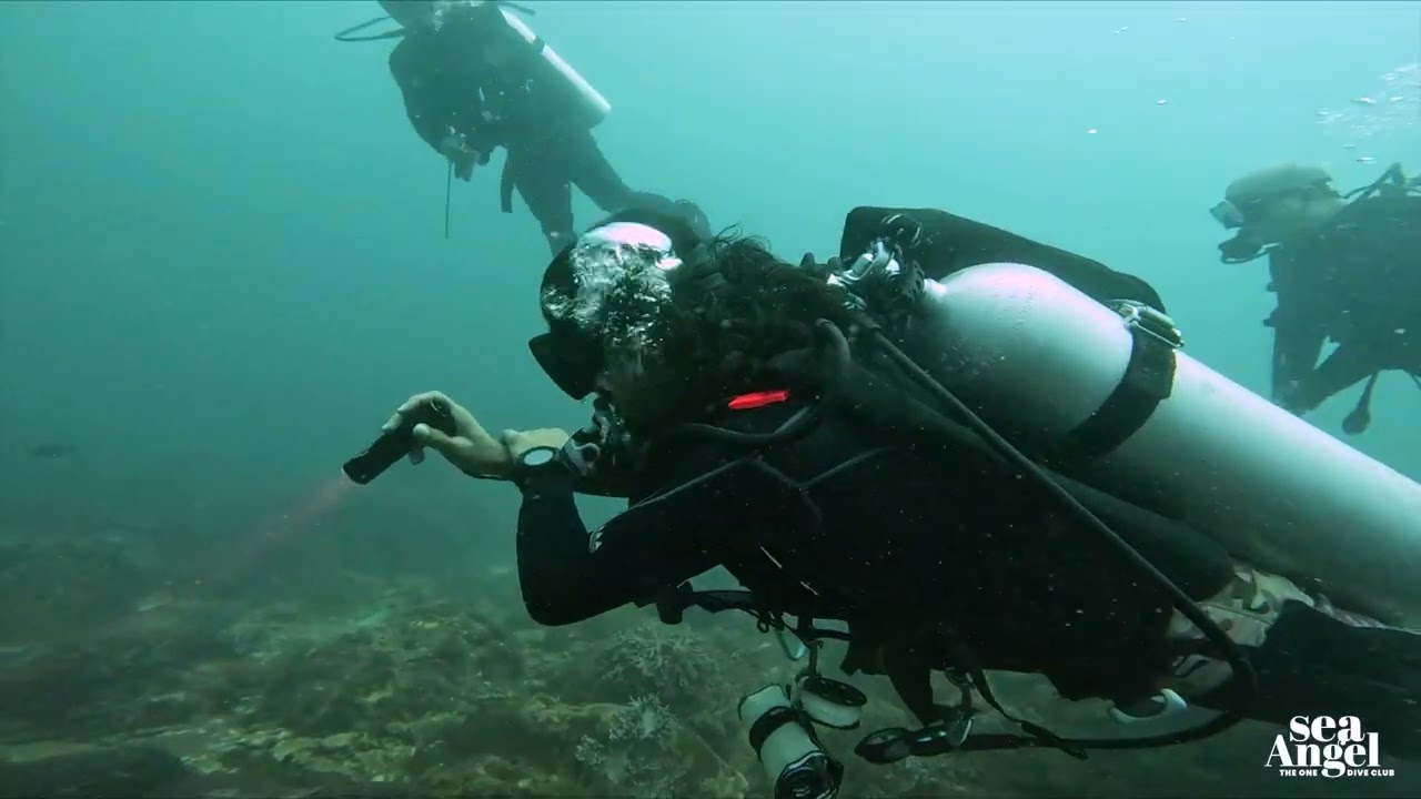 Dive into Paradise - Unveiling the Underwater Wonders