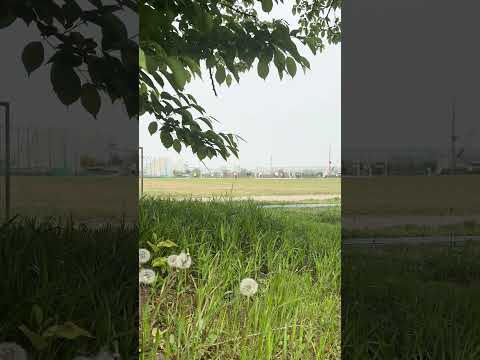 See Kobe U - 深江グラウンド / Fukae sports ground