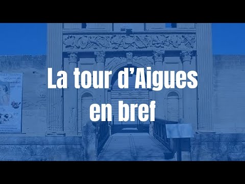 Video vignette