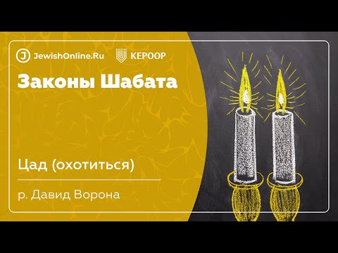 Законы Шабата. Урок 70: Цад (охотиться)