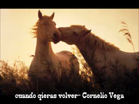 Video Cuando Quieras Volver de Cornelio Vega