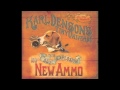 Karl Denson's Tiny Universe - "New Ammo"