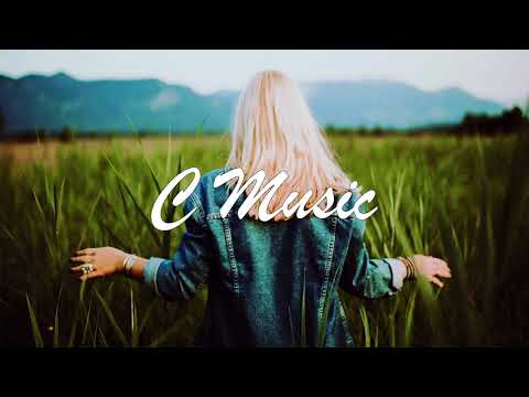 Andery Toronto x T1One - Недотрога NEW 2017 (CMusic)