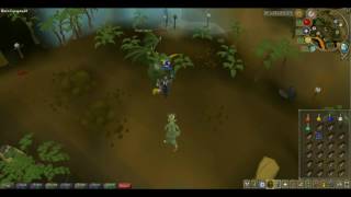 Jungle demon