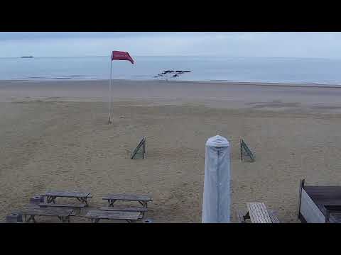 🔴 Live Webcam @ Surfers Paradise Knokke Belgium