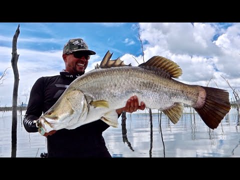 SIGHT casting TOPWATER Barra at its best