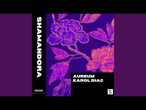 Shamandora (Radio Edit)