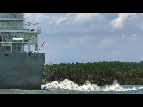 Kontenerowce z turbodoładowaniem, których nigdy nie widziałeś w Ho Chi Minh #shipspotting