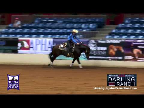 Lil Sis Isa Legend ridden by Vanessa Strotmann  - 2015 Tulsa Reining Classic