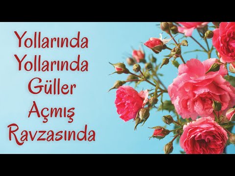 Müziksiz İlahi |  Medine'nin Yollarında | Ümit Dursun