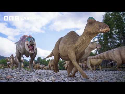 Albertosaurus Outsmarts Prey to Win Respect | Walking with Dinosaurs | BBC Earth