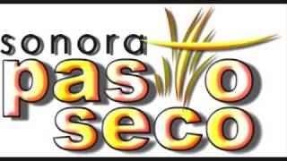 preview picture of video 'Sonora Pasto Seco Una copa mas (PIBES CHORROS)'
