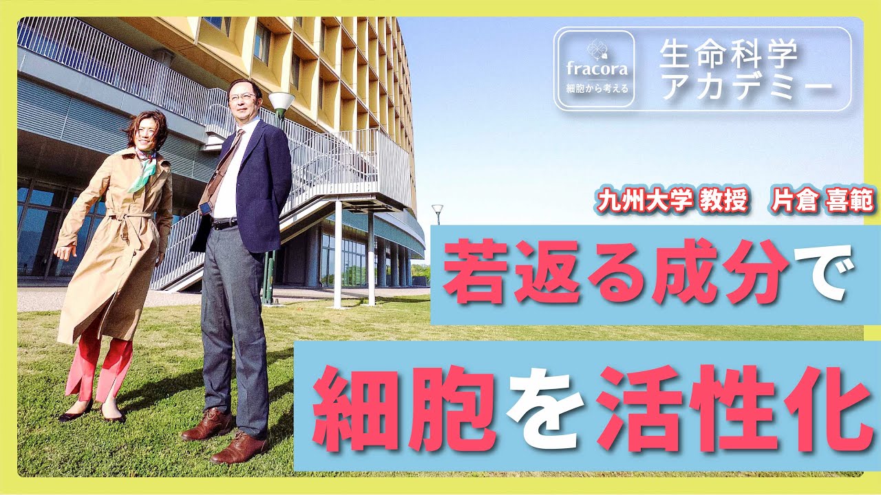 【驚きの若返り成分】ウロリチンのすべてを徹底解明！｜#01 九州大学 片倉喜範先生