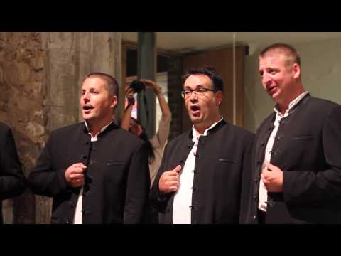 Klapa Kožino London Concert - Vilo dvi jabuke