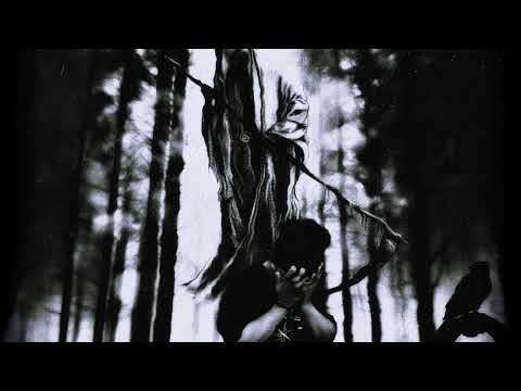 Video thumbnail Sx2qcHRadUk