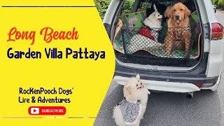 RocKenPooch @ Long Beach Garden Villa Pattaya | Part 1