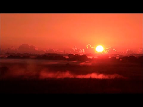 令和4年度加須市ふるさと動画コンクール入賞作品｜市議会議長賞「渡良瀬遊水地 」