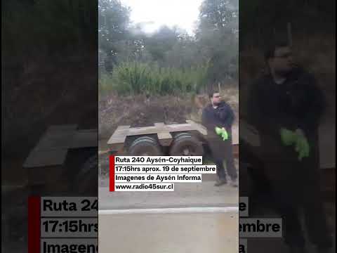 🚨 Camión salió de la ruta en sector El Arenal: una persona resultó lesionada.