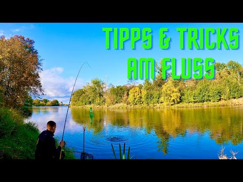 Feeder fishing on the river - Success with these tips!