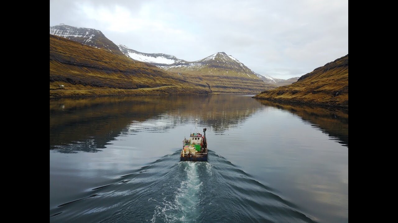 THE SEAWEED PROJECT (Trailer)