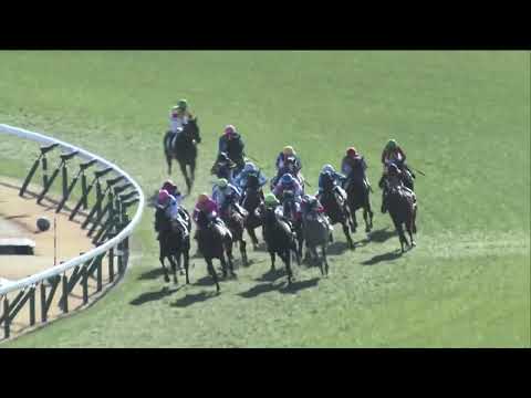 2022.12.25 2yo Newcomer (JPN) - Perifania