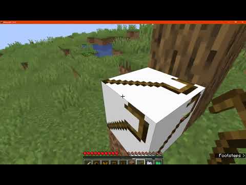 Version 1.1.0 Overview