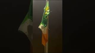 NGO'S in Dublin put national flags of foreign countries for what I do not no 🤷🤦