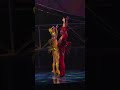 coolest bird in the house 🐦🔥 #Mystere | Cirque du Soleil