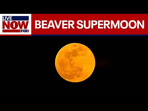 Video | Supermoon 'Beaver Moon' rises over cities around world