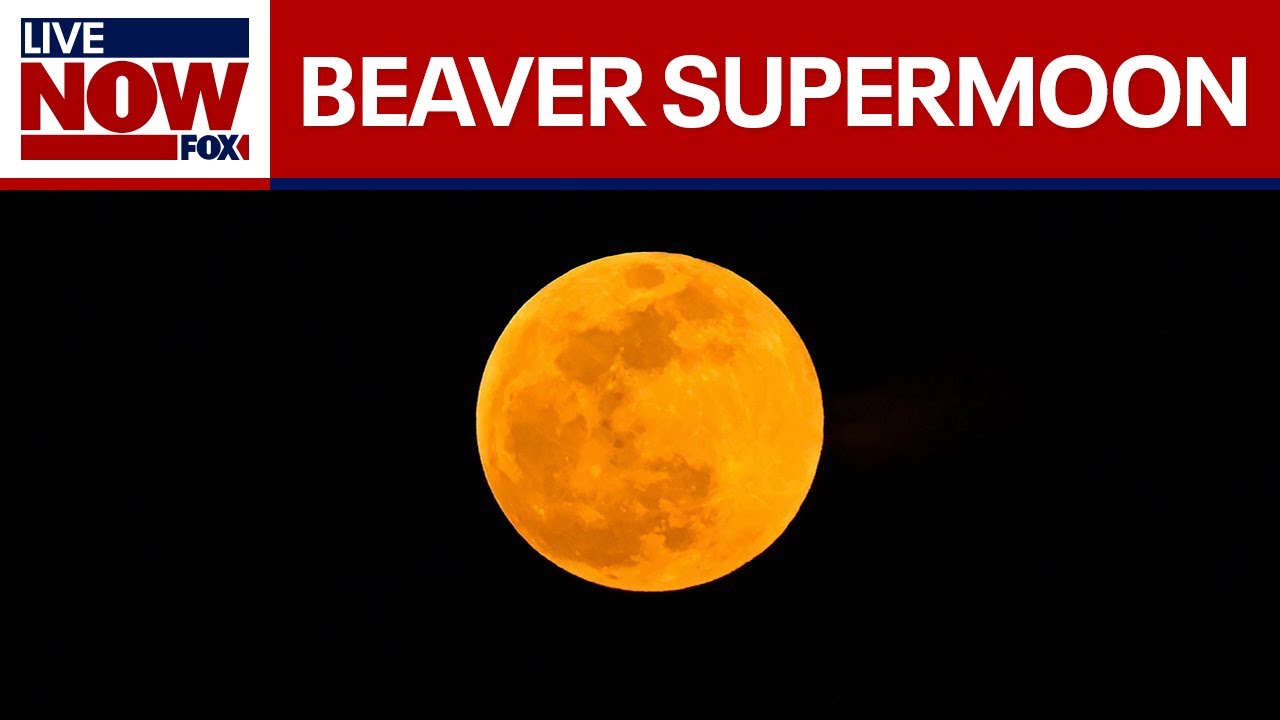 LIVE: Supermoon 'Beaver Moon'