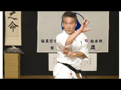 【訃報】“ローキックの盧山”逝く…極真空手の伝説が78歳で永眠#盧山初雄 #極真空手 #極真館 #空手 #訃報 #武道 #ローキック #全日本空手道選手権 #格闘技 #日本スポーツ