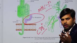 Download Lagu Immunology Kaplan USMLE Microbiology Chapter 3b Thumbnail