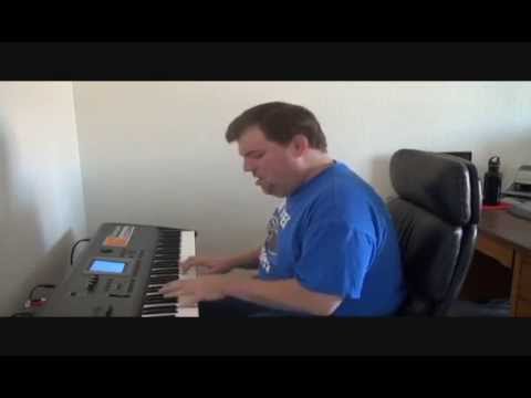 Lady Madonna (The Beatles), Cover by Steve Lungrin