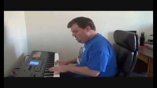 Lady Madonna (The Beatles), Cover by Steve Lungrin