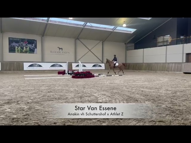 Star Van Essene